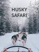 Dog sled / husky safaris holidays
