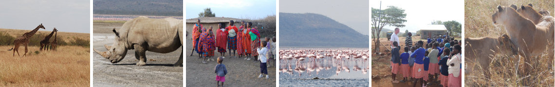 Kenyan safari