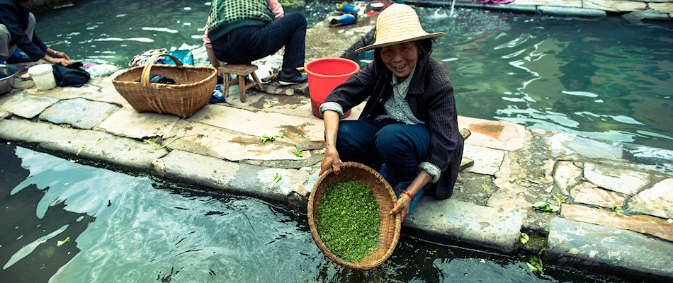 Local life