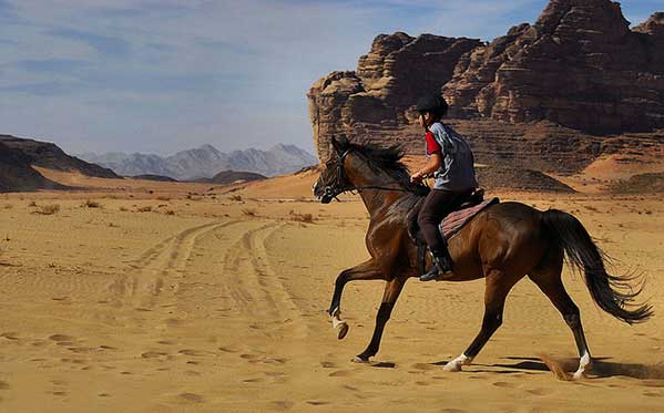 jordan adventure holidays