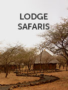 Lodge safaris holidays