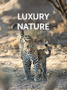 Luxury nature & wildlife holidays