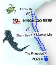 Coral Coast Wa Map Coral Coast Itineraries In Western Australia Coral Coast Wa Map Coral Coast Itineraries In Western Australia