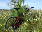 Bike in a meadow of flowers, Menorca. Photo by Audax Hotels
