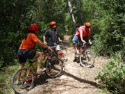 Cyclists in the woods, Menorca. Photo by Audax Hotels