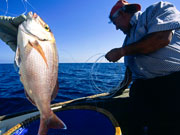 Fishing in Menorca. Photo by Menorca Tourist Board