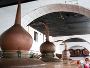Gin distillery, Menorca. Photo by Nick Haslam