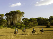 Horses galloping in Menorca. Photo by Menorca Tourist Board