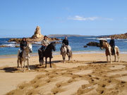 Horses on a beach in Menorca. Photo by Audax Hotels