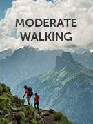 Moderate walking