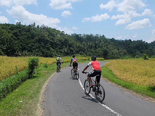 Indonesia cycling holiday, Bali and Java