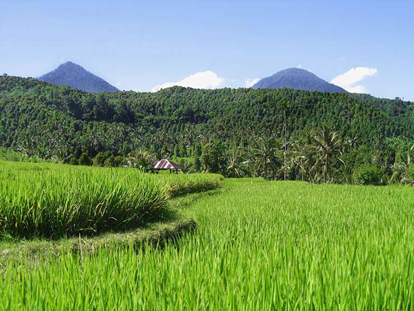 Indonesia cycling holiday, Bali and Java