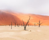 Sossusvlei