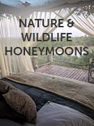 Nature & wildlife honeymoons holidays