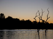 Sunset on Ord River in Western Australia. Photo by Nick Haslam