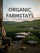 Organic farmstays holidays