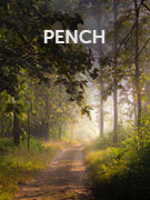 Pench National Park