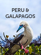 Galapagos and Peru holidays Galapagos and Peru holidays