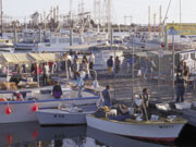 Port Adelaide, South Australia. Photo by South Australia Tourist Board
