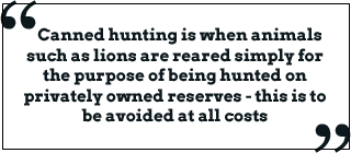 Canned hunting