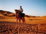 Camel