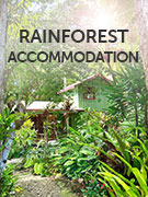 Rainforest accommodation holidays