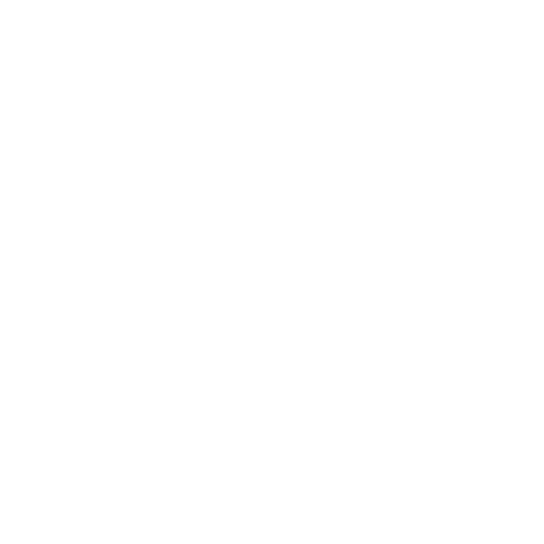 customer brief