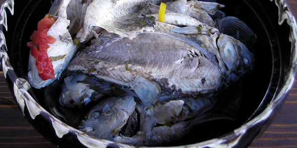 Fish