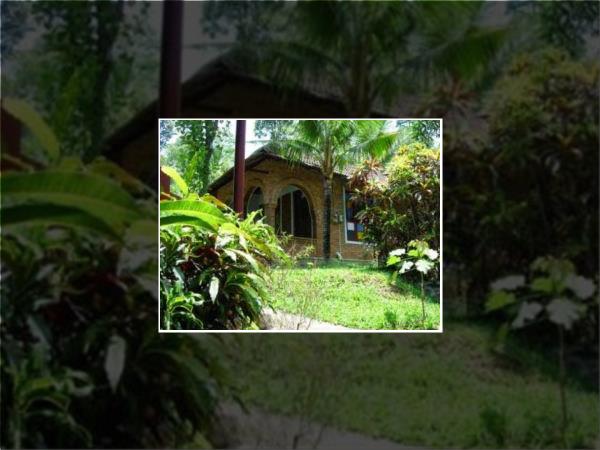 Kerala accommodation, India
