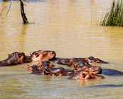 iSimangaliso Wetland Park
