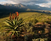 The Karoo