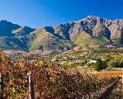 Winelands