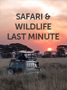 Safari & wildlife last minute holidays
