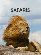 Safari holidays guide