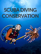 Scuba diving conservation holidays