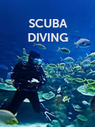 Scuba diving holidays