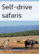 Self drive safari