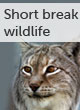 Short break wildlife guide