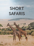 Short safaris holidays