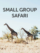Small group safari holidays