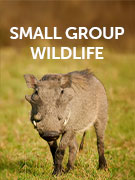 Small group wildlife & nature holidays Small group wildlife & nature holidays