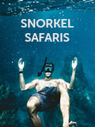 Snorkel safari holidays