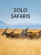 Solo safaris holidays Solo safaris holidays