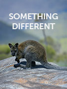 Something different holidays Something different holidays