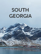 South Georgia holidays South Georgia holidays