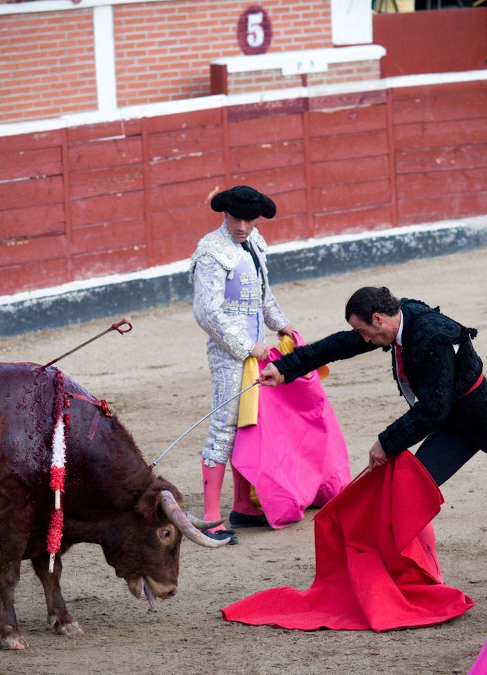 Pamplona protests,2016
