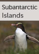 Subantarctic Islands guide