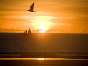 Sunset at Broome, Western Australia. Photo by Nick Haslam
