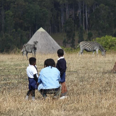 The children eating lunch