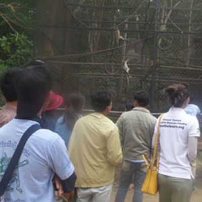 Youths looking through enclosure